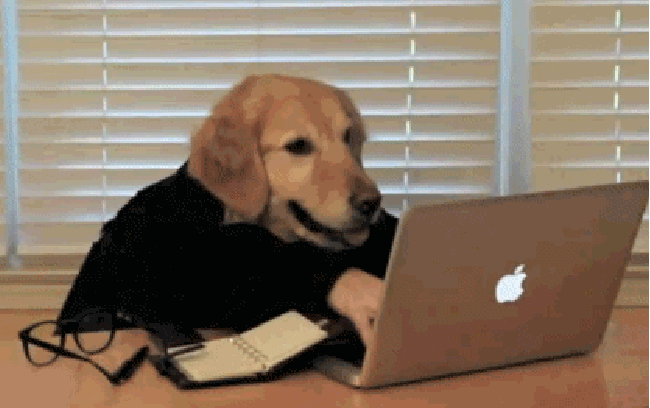 dog
